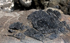 Minería
