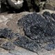 Minería