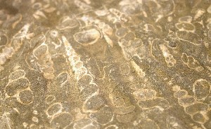 Geología