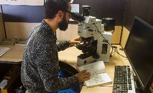 Educación e Investigación
