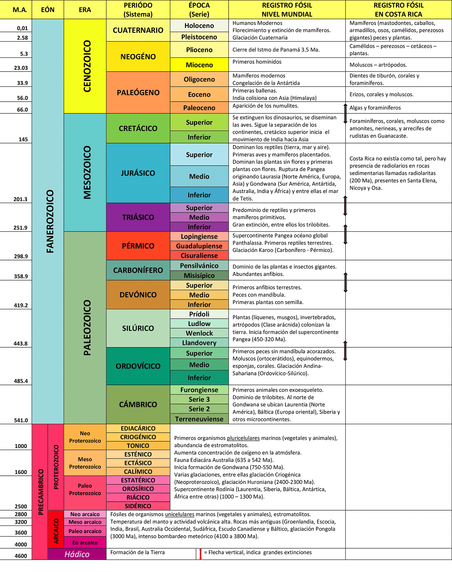 Linea De Tiempo Geologica | Sexiz Pix